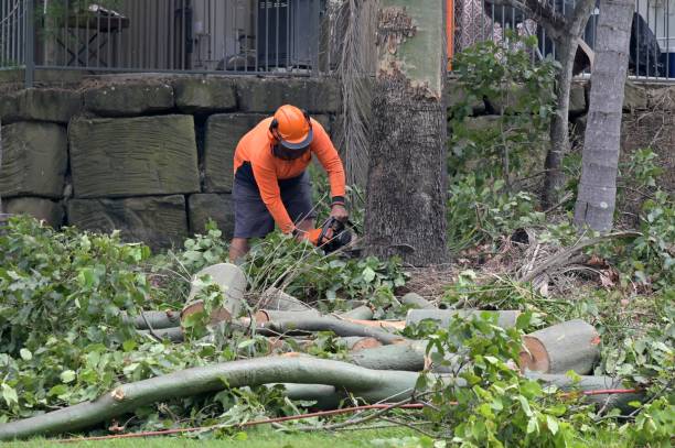  Newnan, GA Tree Services Pros